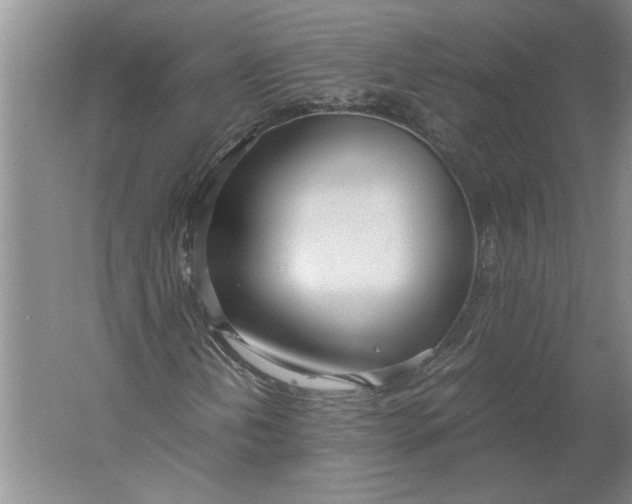 X0000061721202200512161546