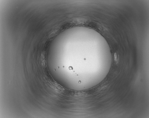 X0000061721203200512161546