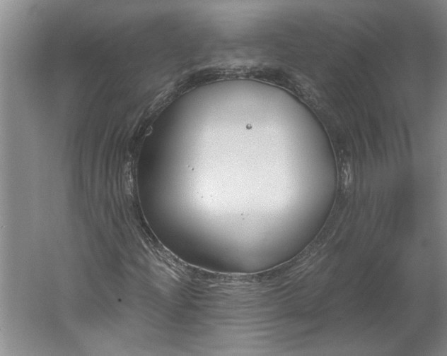 X0000061721204200512161546