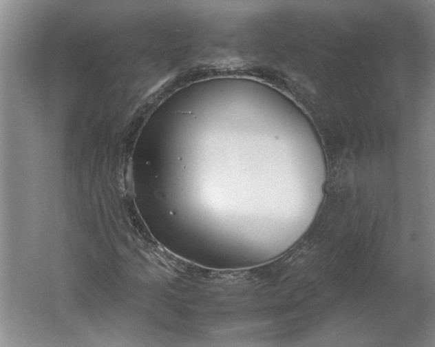 X0000061721205200512161546