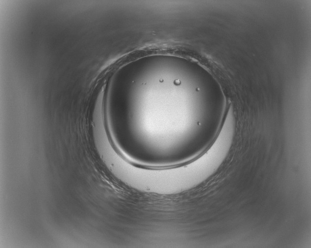 X0000061721206200512161546