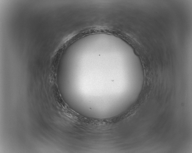 X0000061721207200512161546