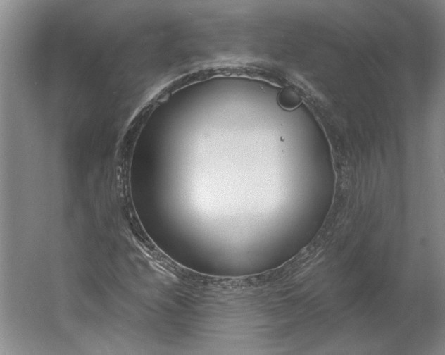 X0000061721208200512161546