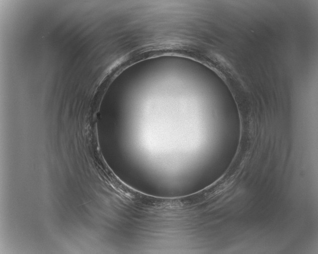 X0000061721210200512161546