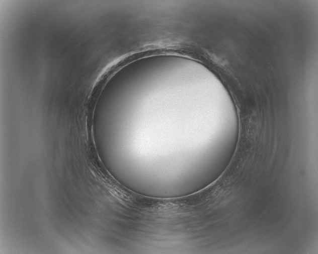 X0000061721214200512161546