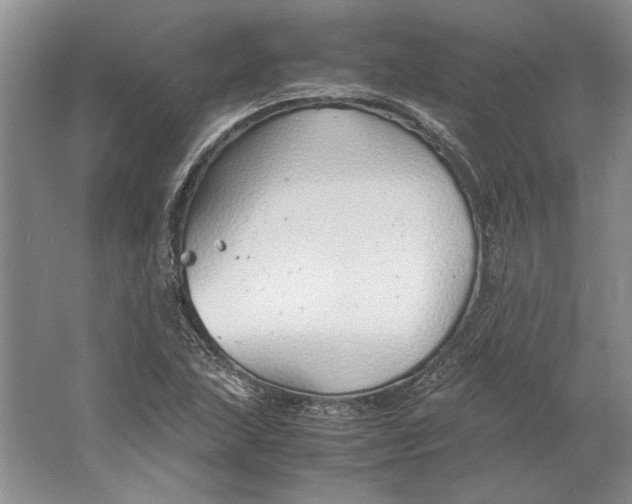 X0000061721215200512161546