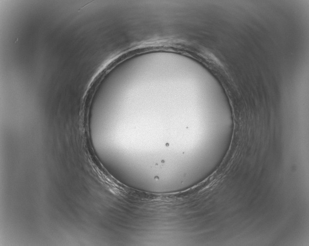 X0000061721216200512161546