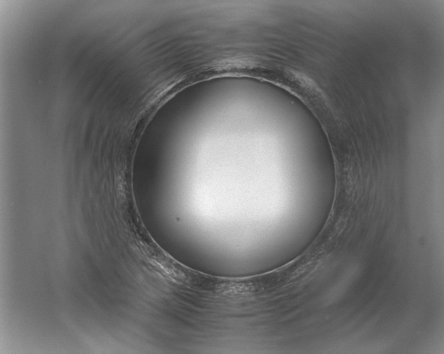 X0000061721217200512161546