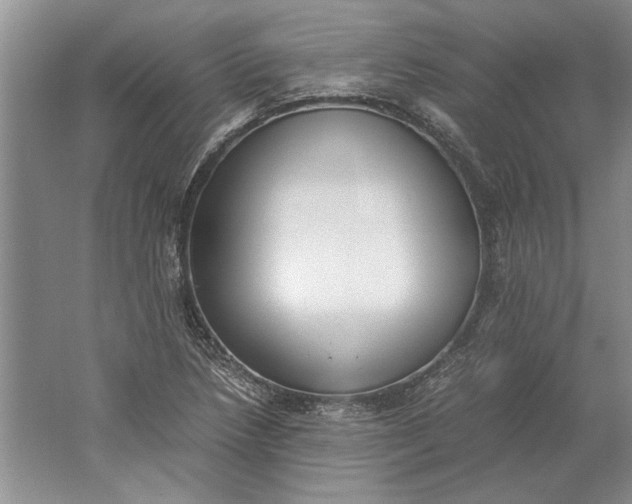 X0000061721218200512161546