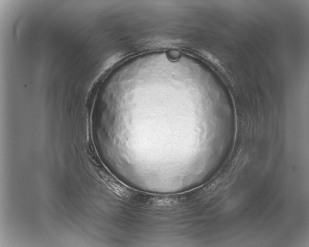 X0000061721219200512161546