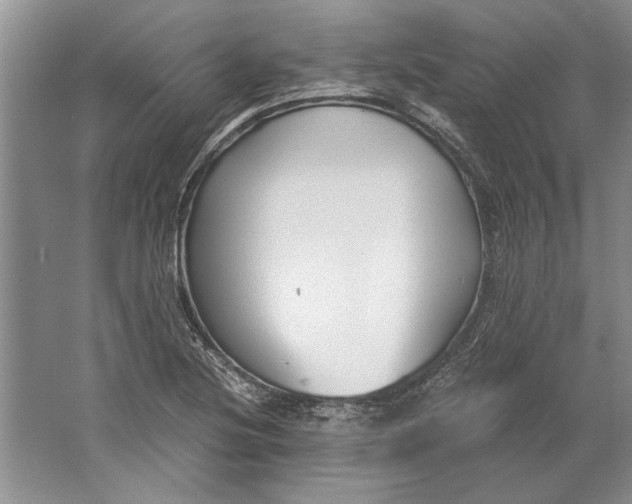 X0000061721220200512161546