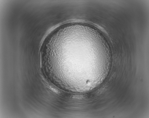 X0000061721223200512161546