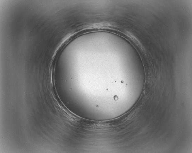 X0000061721224200512161546