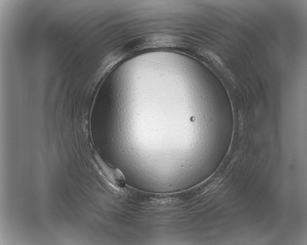 X0000061721225200512161546