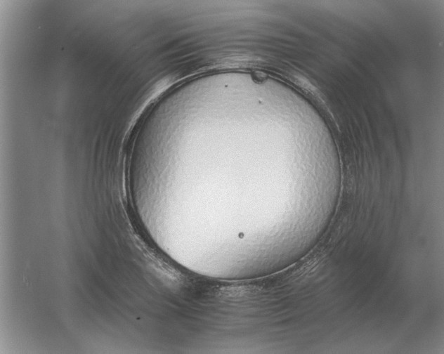 X0000061721227200512161546