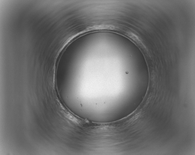 X0000061721228200512161546