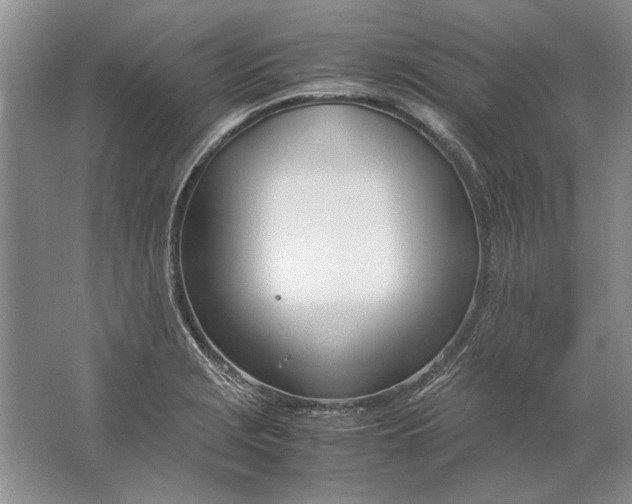 X0000061721229200512161546