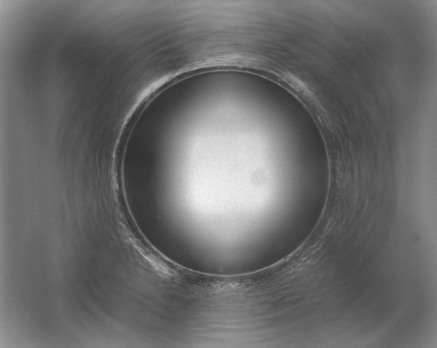 X0000061721230200512161546