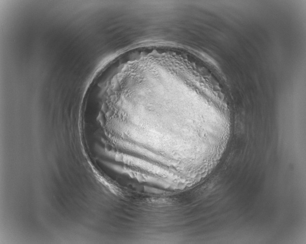 X0000061721231200512161546