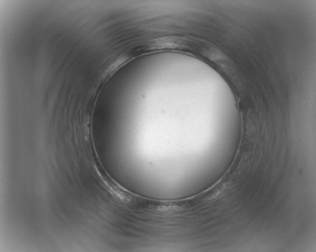 X0000061721233200512161546