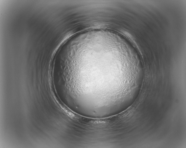 X0000061721235200512161546