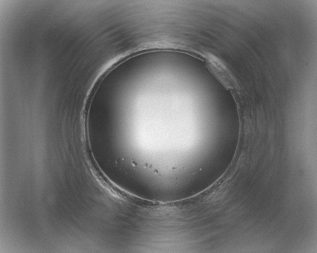 X0000061721238200512161547