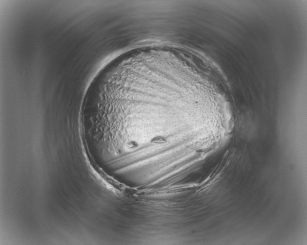 X0000061721239200512161547