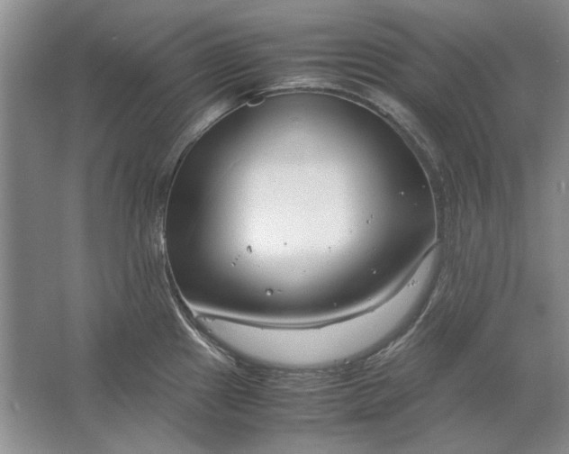 X0000061721241200512161547