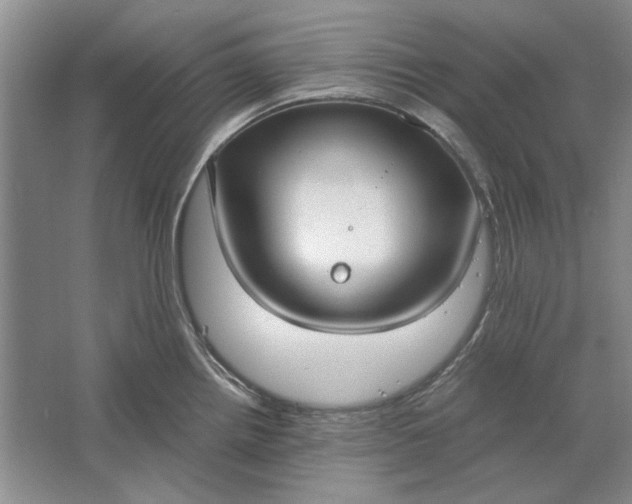 X0000061721242200512161547