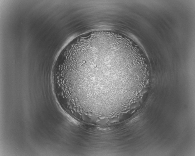 X0000061721243200512161547