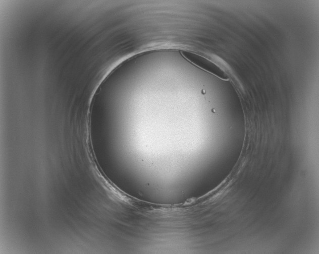 X0000061721244200512161547