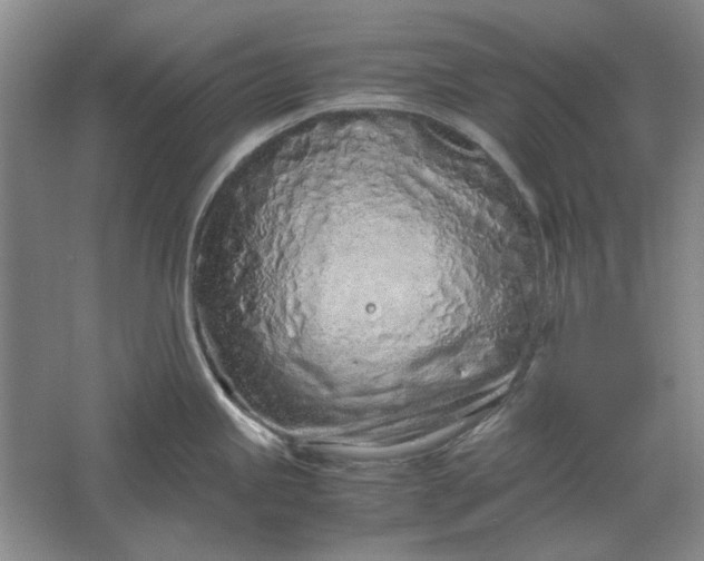 X0000061721245200512161547