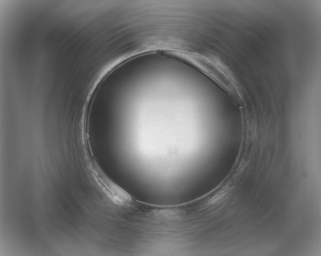 X0000061721246200512161547