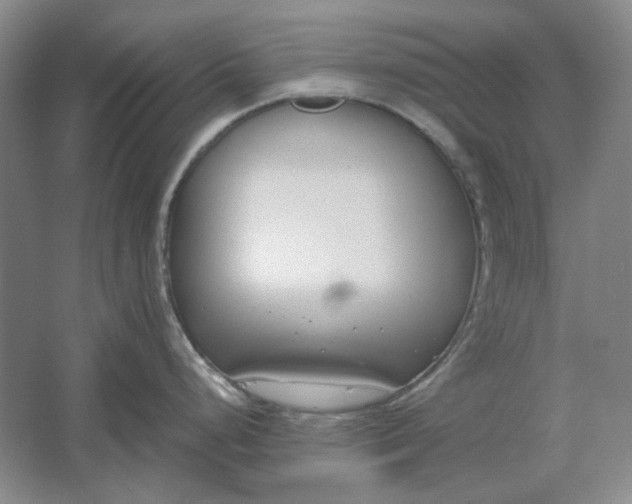 X0000061721248200512161547