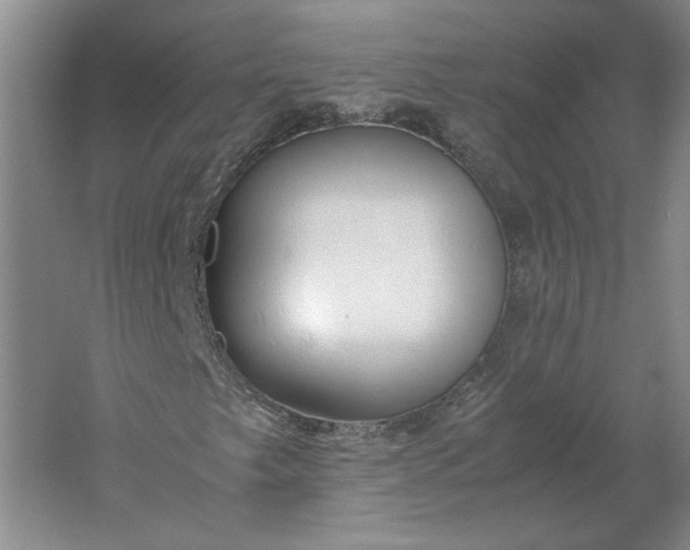 X0000061721249200512161546