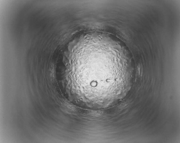 X0000061721251200512161546