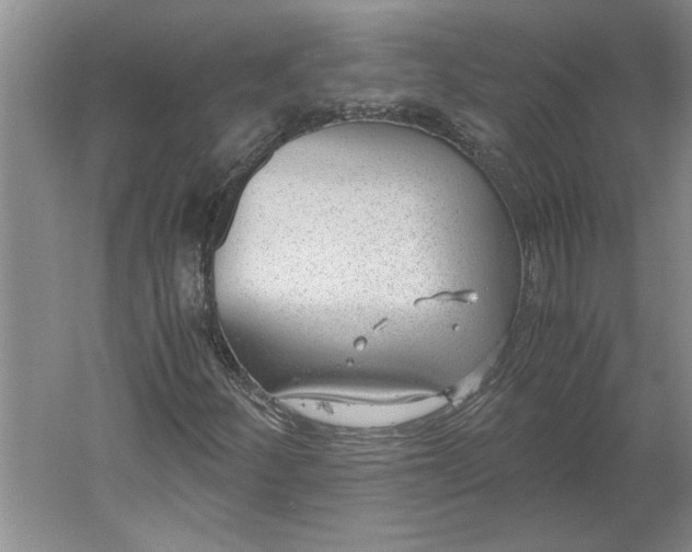 X0000061721252200512161546