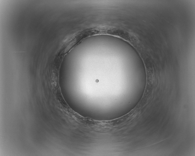 X0000061721253200512161546