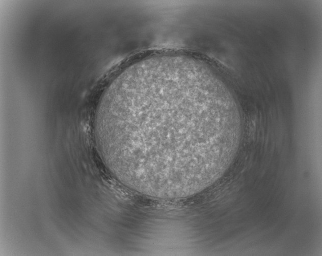 X0000061721254200512161546