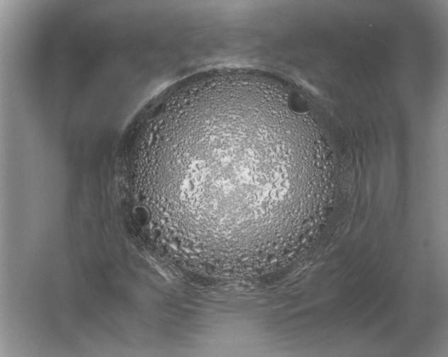 X0000061721255200512161546