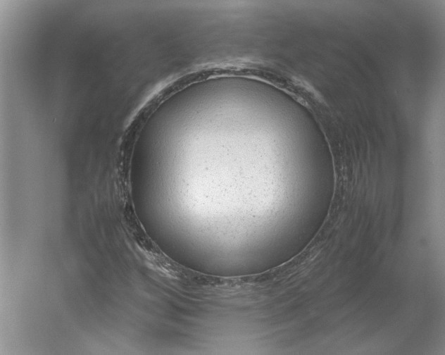 X0000061721256200512161546