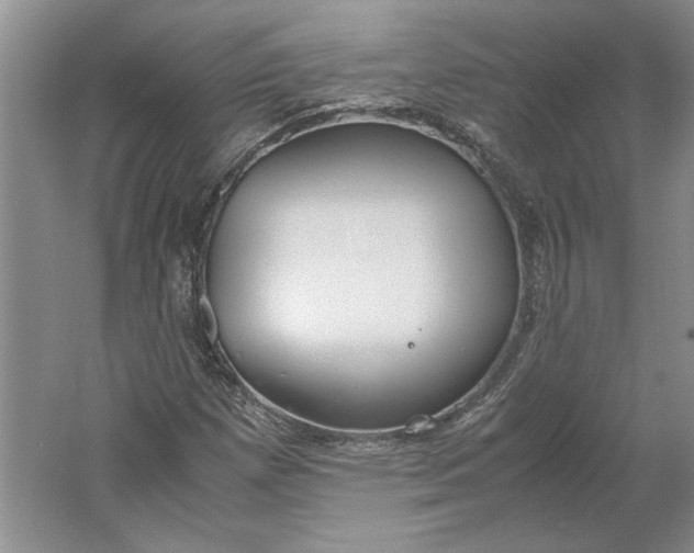 X0000061721257200512161546