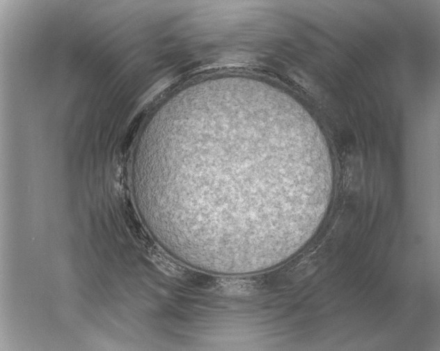 X0000061721258200512161546