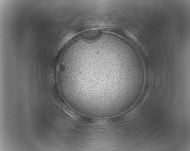 X0000061721259200512161546