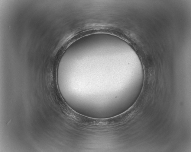 X0000061721261200512161546