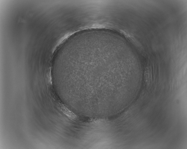 X0000061721262200512161546