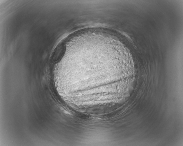 X0000061721263200512161546