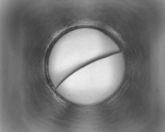 X0000061721264200512161546