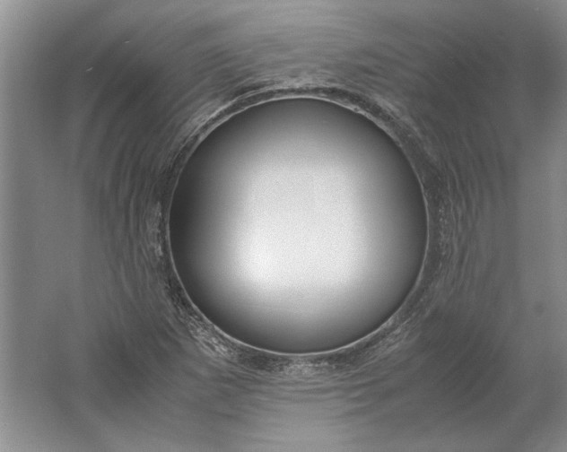 X0000061721265200512161546