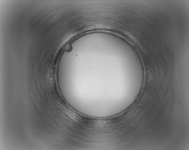 X0000061721266200512161546